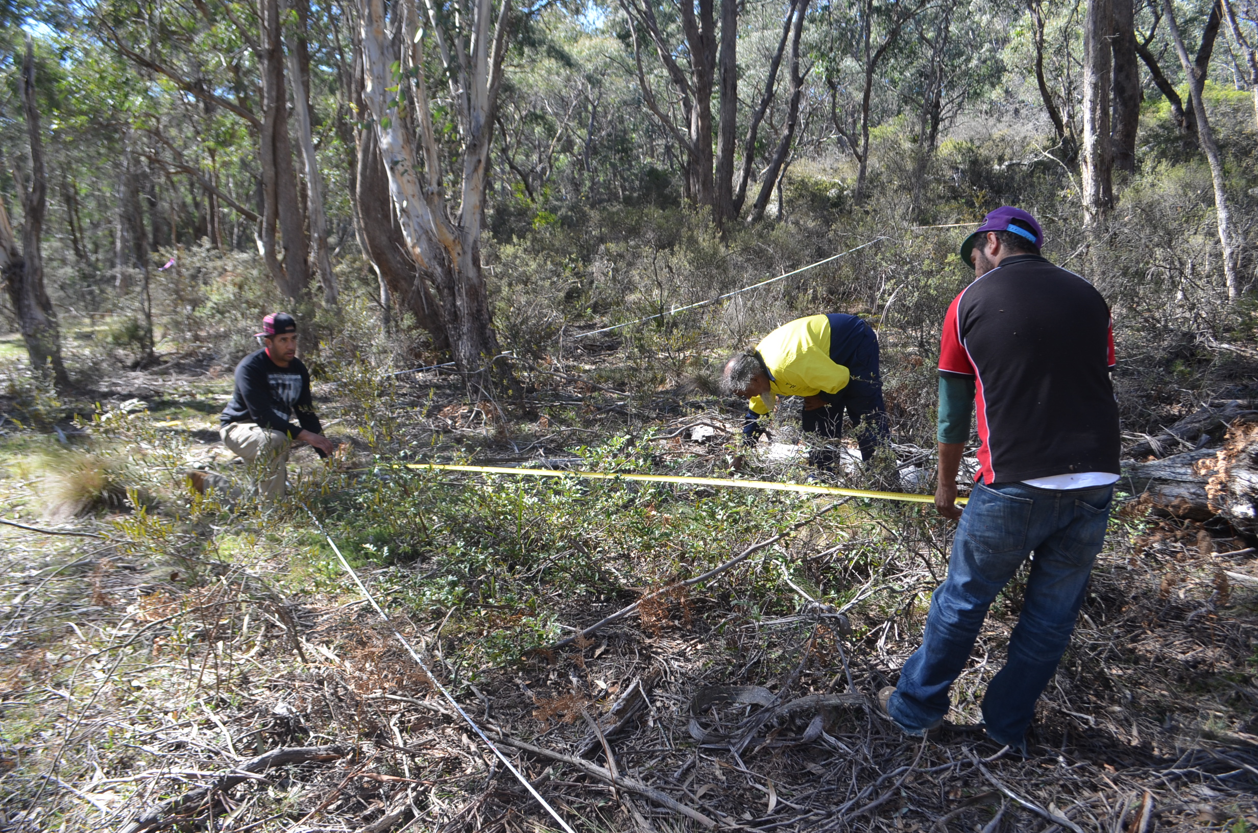 Two men stretching out a tape measure across a patch of vegetation.