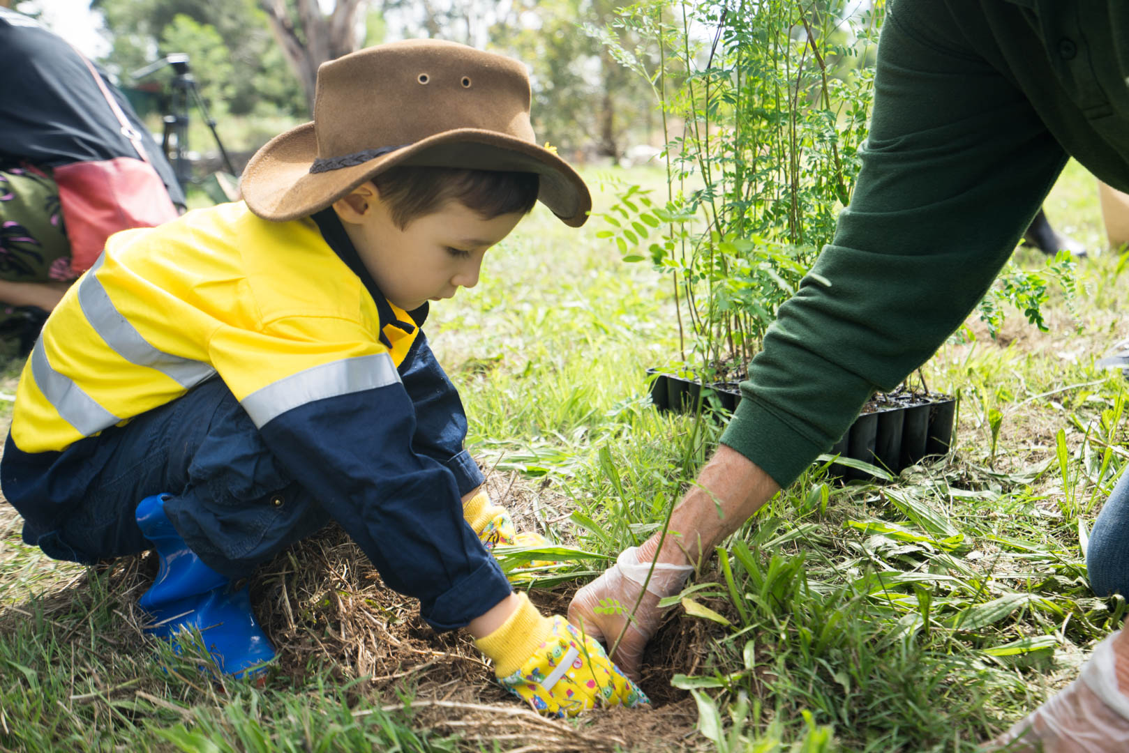 Photograph of a child in an Akubra hat planting a small tree.