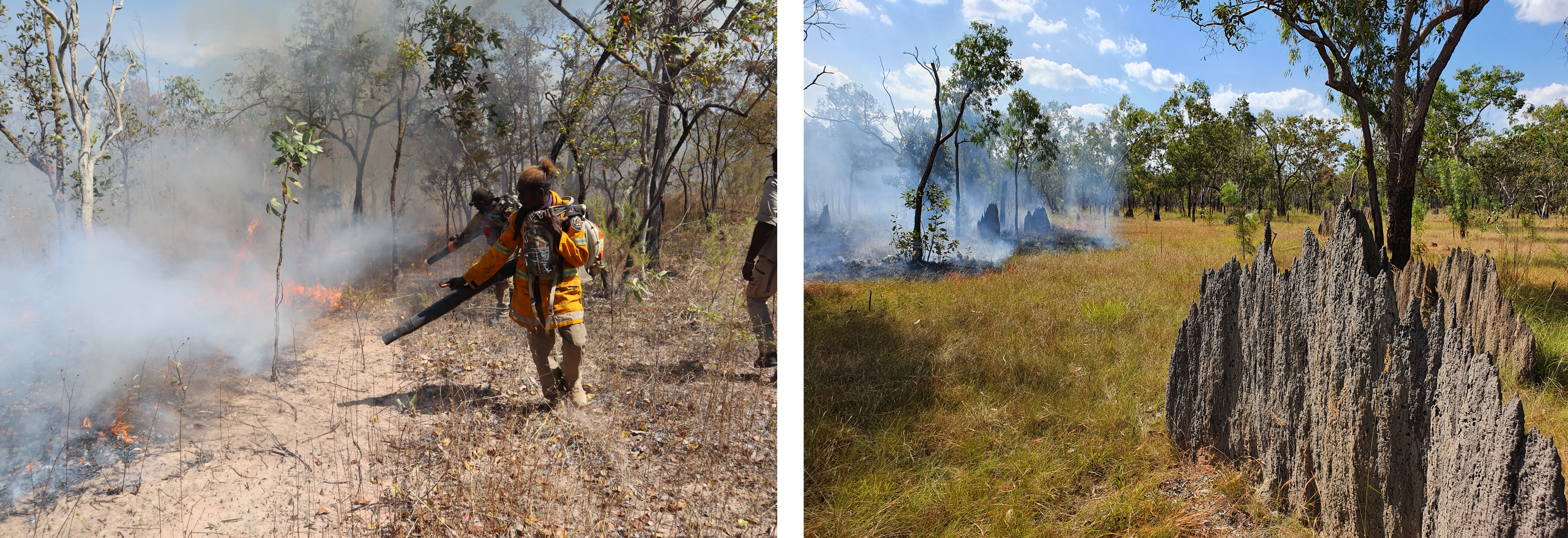 Photographs of people using blowers to control a low fire and a low fire burning through grassy, sparsely-treed land.