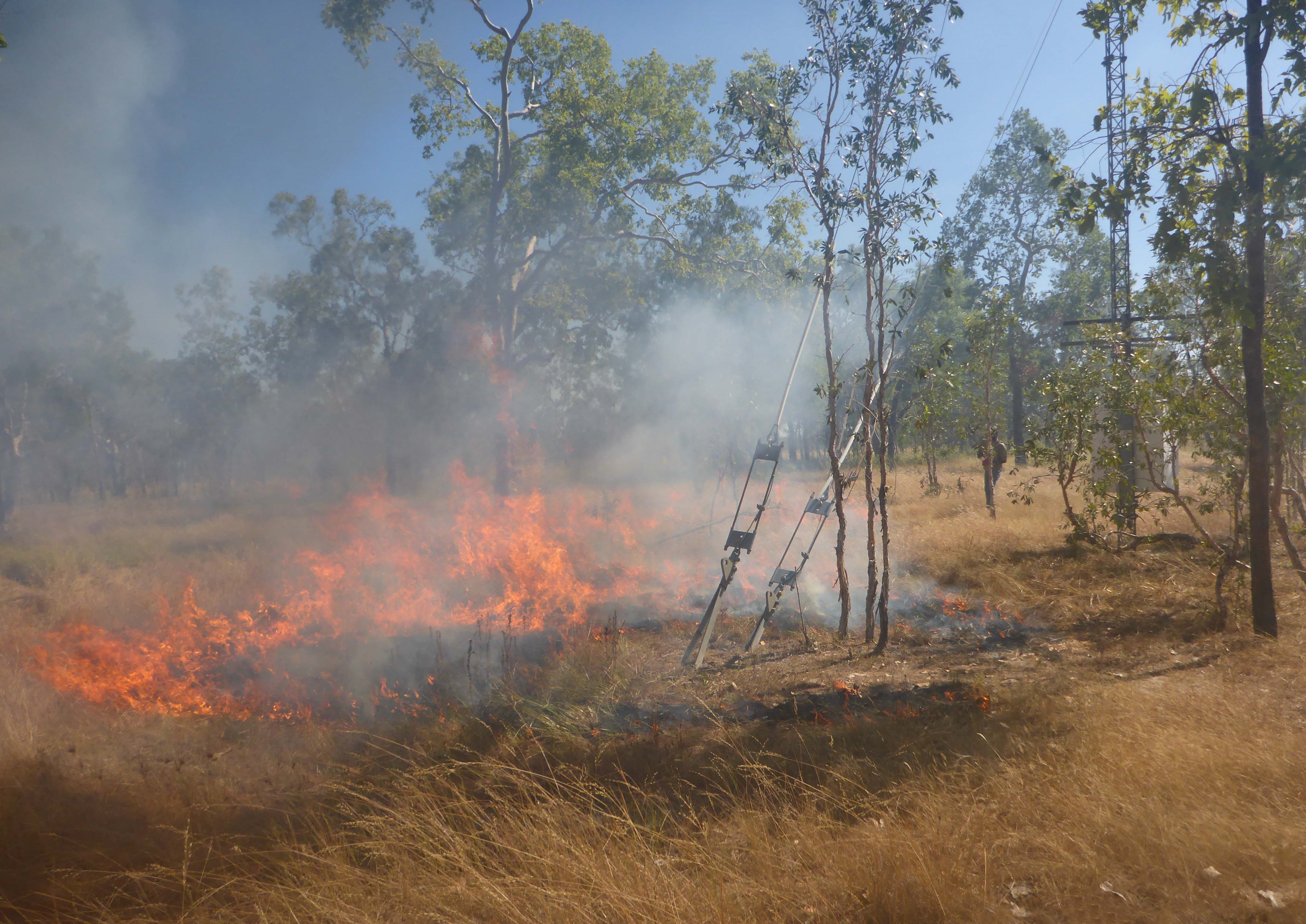 Photograph of a grass fire with sparse trees in the background.